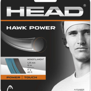 HEAD Hawk Power Saiten